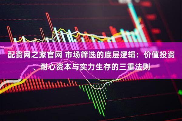 配资网之家官网 市场筛选的底层逻辑：价值投资、耐心资本与实力生存的三重法则