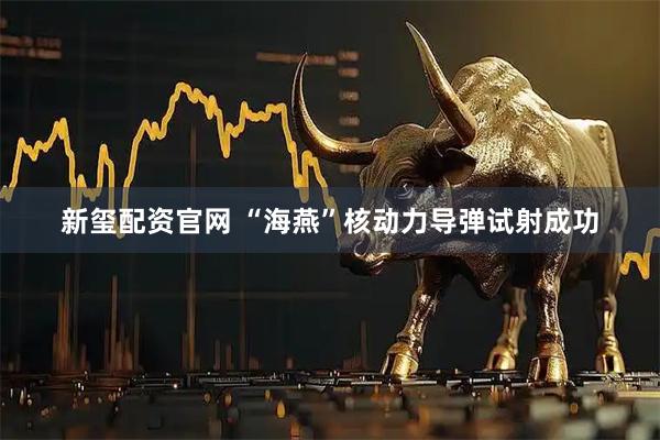 新玺配资官网 “海燕”核动力导弹试射成功