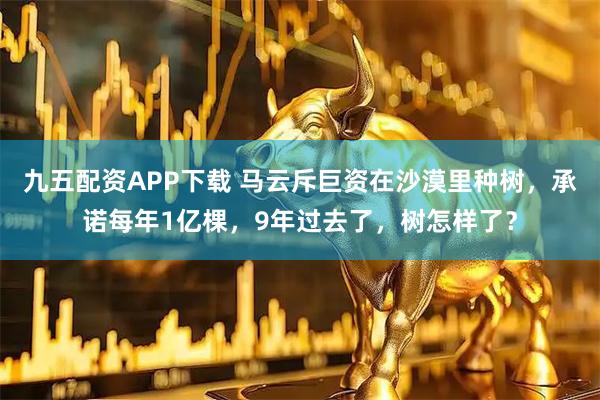 九五配资APP下载 马云斥巨资在沙漠里种树，承诺每年1亿棵，9年过去了，树怎样了？