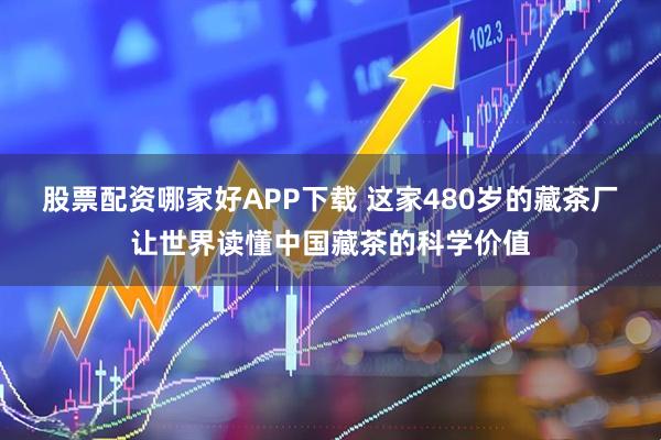 股票配资哪家好APP下载 这家480岁的藏茶厂让世界读懂中国藏茶的科学价值